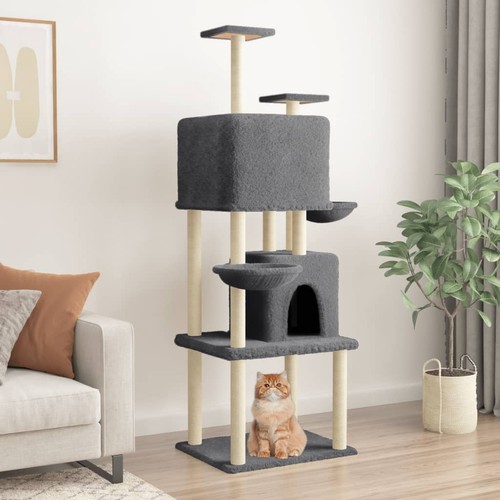Arbre chat avec - arbre,