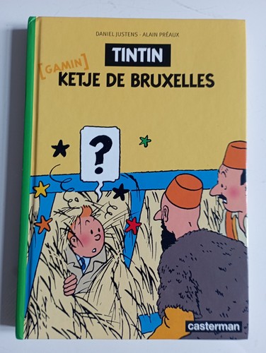 Tintin gamin ketje - tintin,