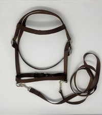 MINIATURE HORSE / SM PONY