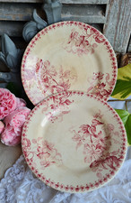 2 ANCIENNES ASSIETTES PLATES