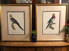VINTAGE Jacques Barraband Hand Colored Etching PARAKEETS Framed