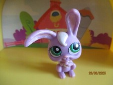 Petshop Lapin de Garenne #828 Bis