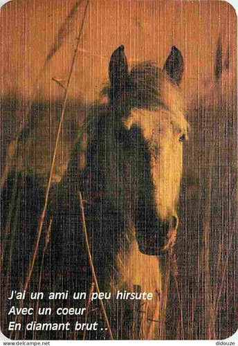 Postcard animals horses - animals,