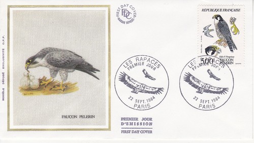 Enveloppe 1er jour rapace - enveloppe,