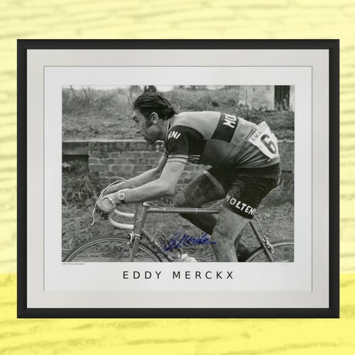 Eddy merckx signed print - eddy, print-