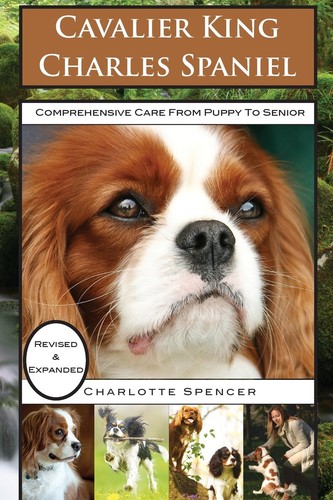 Cavalier king charles spaniel - cavalier,