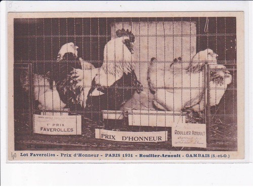 Gambais lot faverolles prix - lot,