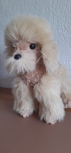 Peluche chien caniche - , beige