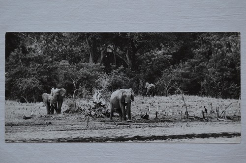 Yves lanceau 1980 - 1980,