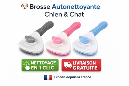 Brosse autonettoyante chien - brosse,