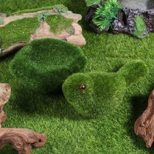  Oiseau Decoration Oiseaux