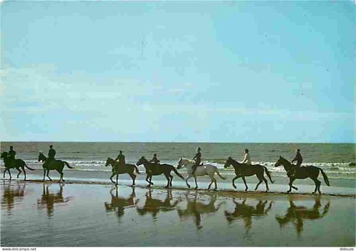 Carte postale animaux - carte,
