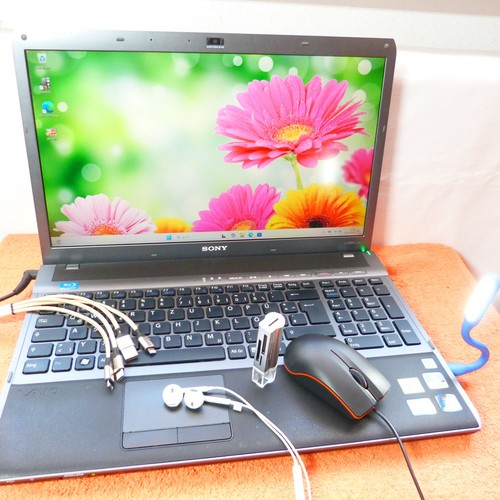 Sony vaio f13 premium - sony,