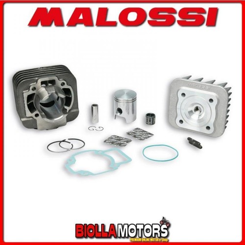 318520 thermal group malossi - 318520,