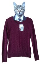 Superbe Pull (Laine) à