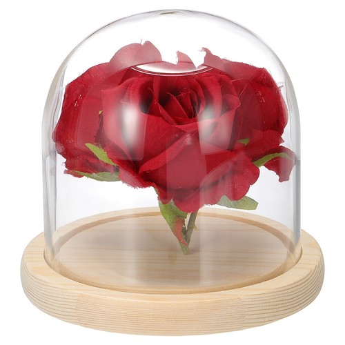 Pour cloche verre 7 x - pour,