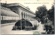 34 MONTPELLIER - the garden of plants, the great greenhouse