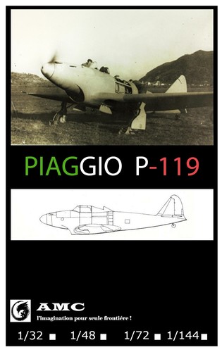Piaggio 119 nouveau - piaggio, p-119