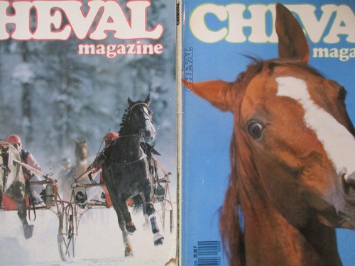 Lot cheval magazine - magazine,