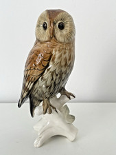 Chouette perchée  en