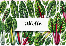 Blette 12 sticker vinyl
