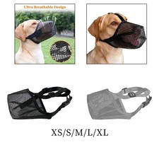 Muselière pour chien, pas de