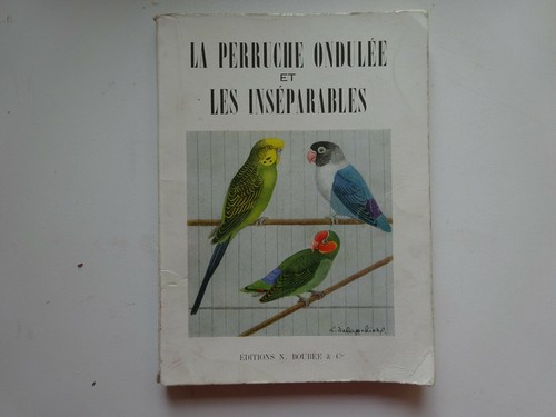 Perruche ondulée les - la,