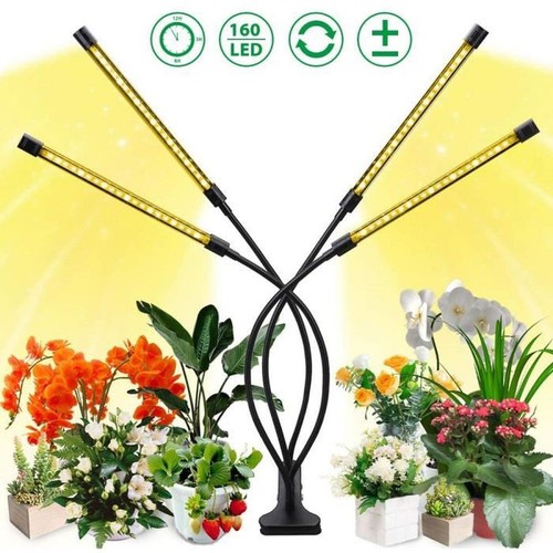 Lampe croissance pour - lampe, de