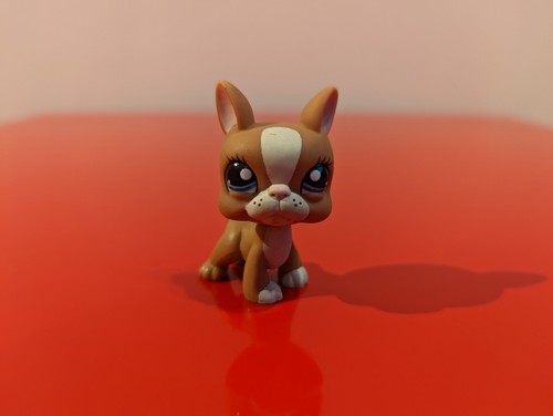 Littlest petshop chien boston - petshop, "chien
