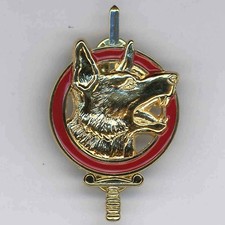 Brevet  MAITRE CHIEN CT2