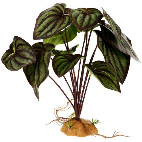 Reptile terrarium decor - reptile,