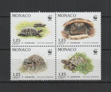 Monaco 1991 tortue d'Hermann