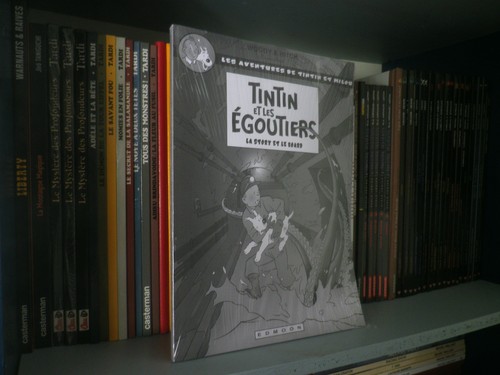 Tintin les égoutiers - égoutiers,