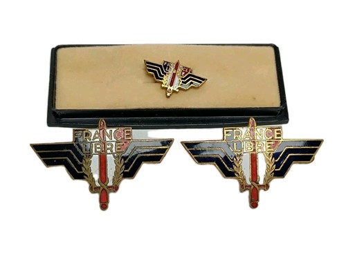 Lot insignes militaires - 3,