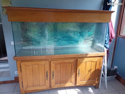 Aquarium avec meuble - aquarium,