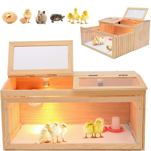 Couveuse pour poussins