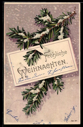 Branche sapin avec carte - de,