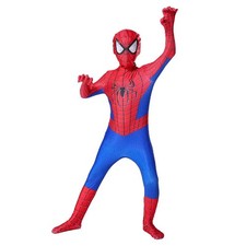 Costume Spider Man
