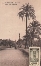 Le Maroc Marrakech, palm tree, 113064