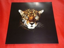 1992 Jaguar XJ6 Daimler Double Six XJS V12 XJR-S 6.0 Sovereign Brochure Brochure