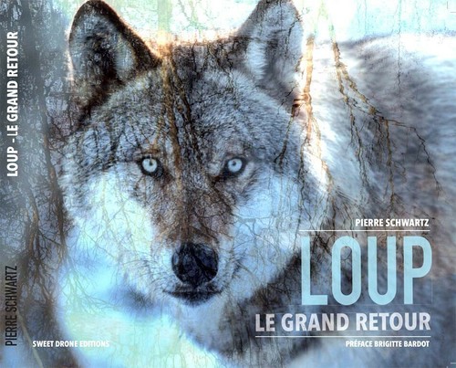 Loup grand retour livre -  "loup, retour"livre