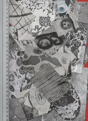 Pack ephemera 100 noir - 100,