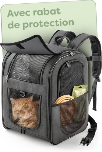 Sac dos transport chat - sac, à