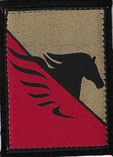 FABRIC BADGE, CAPR MILITARY PATCH