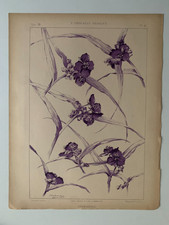 J.HABERT-DYS PLANCHE