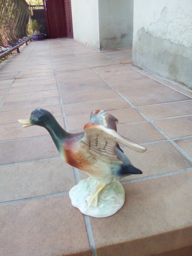 Statue canard colvert - statue,