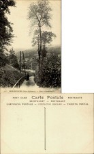 Bon-Secours Seine-Inferieure France Dans le Raidillon ~ vintage postcard
