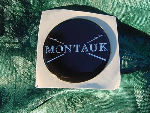 Montauk boston whaler boat - boston,