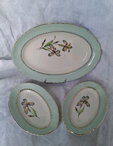 Plat ovale raviers - plat,
