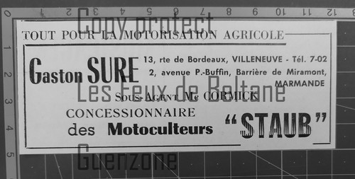 Gaston sure marmande - gaston,
